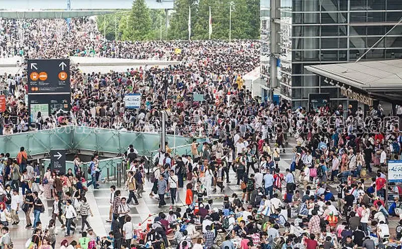 漫蛙漫画网页版免费进入